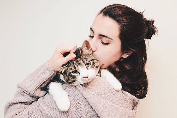 Why You Should Hire a Professional Cat Sitter in New Orleans, LA
