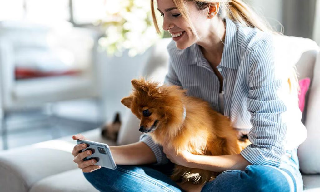 Pet Sitters in New Orleans