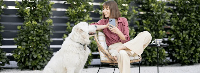 Find Reliable Dog Sitters in New Orleans: Your Pet’s Home Away from Home
