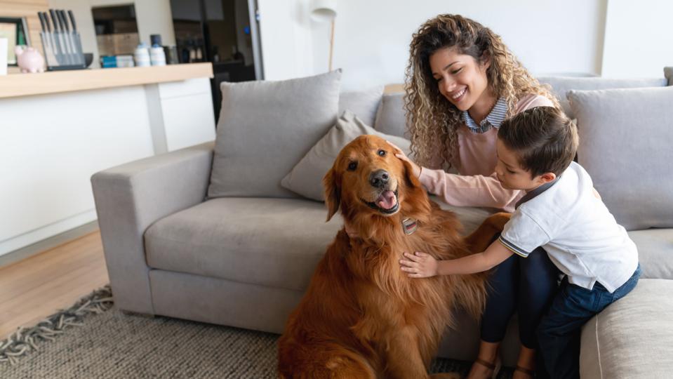 How Can Dog Care Services in New Orleans Benefit Your Pet’s Well-being?