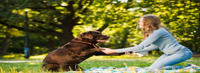 Top Dog Care Tips Every New Orleans Pet Owner Should Know