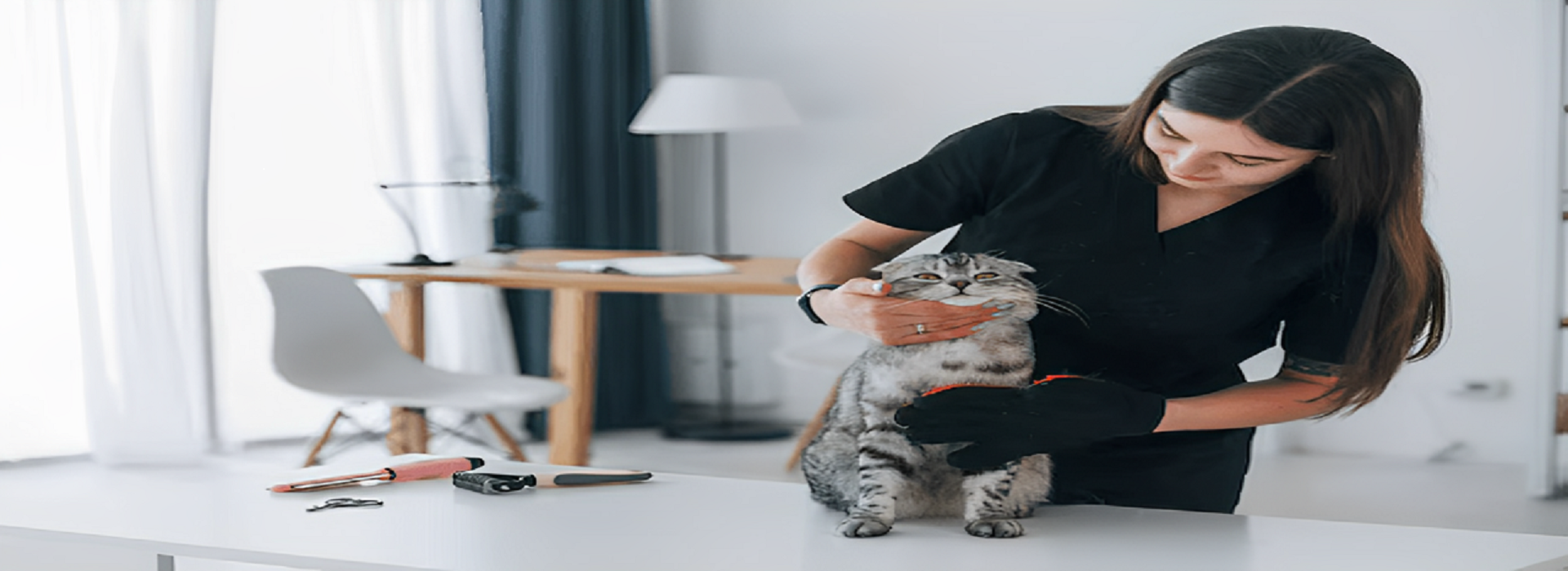 cat sitters New Orleans LA